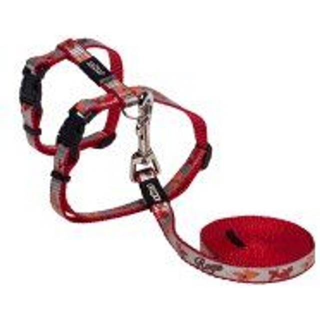 ROGZ REFLECTOCAT SELE MED KOPPLING - Röd 24-40cm