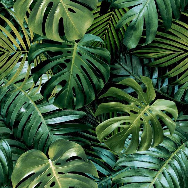 Arthouse Living Wall Green Wallpaper - 6 x 53 x 1005cm