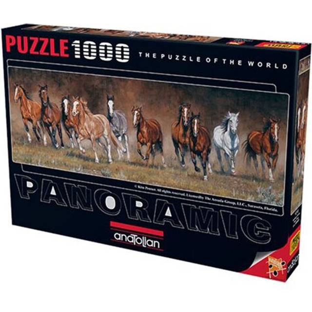 Anatolian Panoramic Puzzle 1000pcs (Free Time)