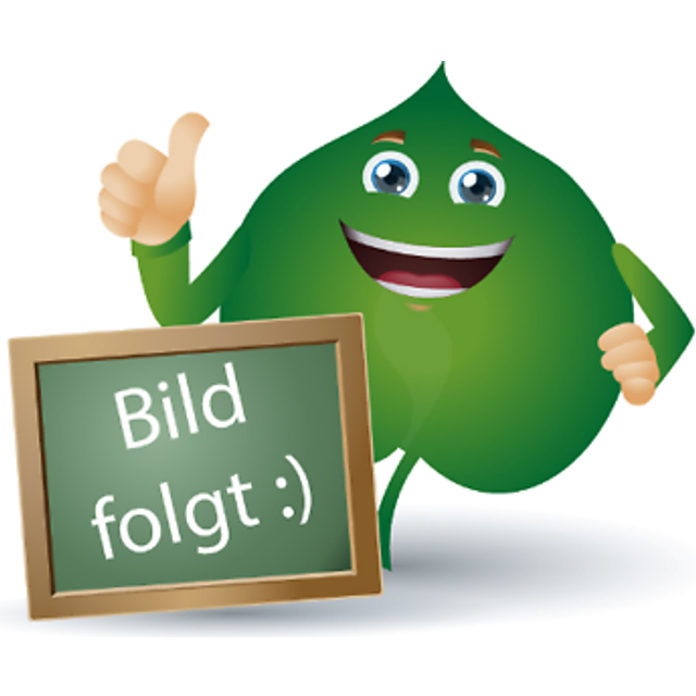 Dresdner essens fast schampo aloe vera & lotusblomma 65 g vårdschampo vegan