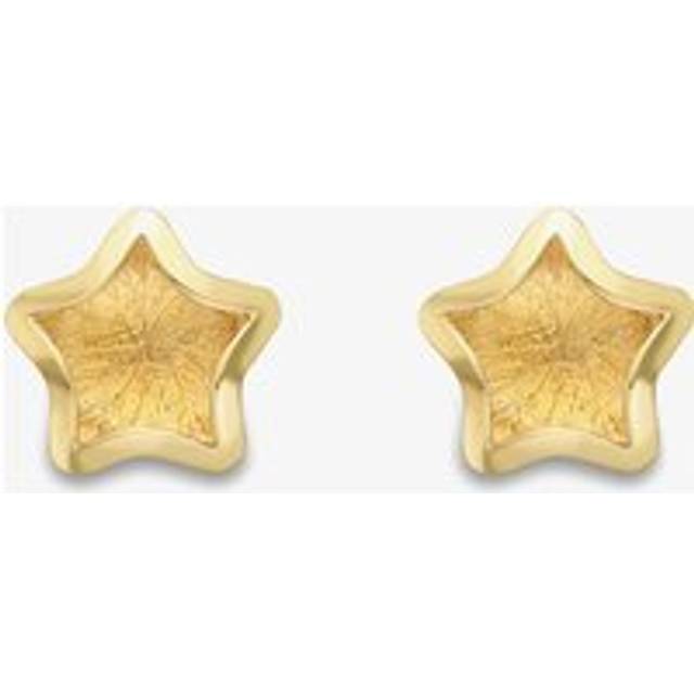 9ct Yellow Gold Satin Brushed Star Stud Earrings SE870