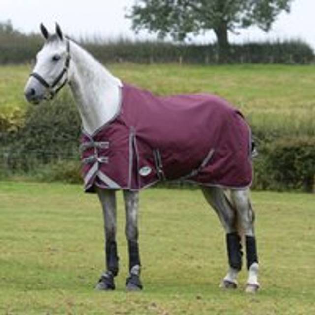 "(4' 6"", Maroon/Grey/White) Weatherbeeta Comfitec Plus Dynamic II Standard-Neck 220g Horse Turnout Rug"