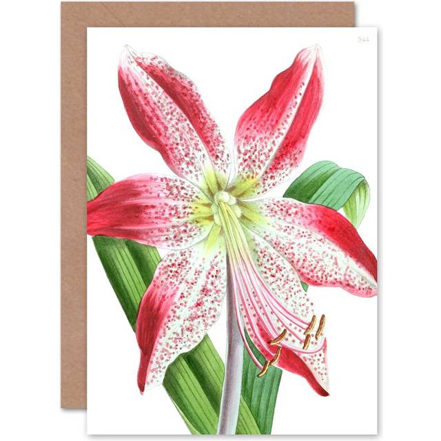 Flower spotted pink lily greeting card with envelope inside premium quality