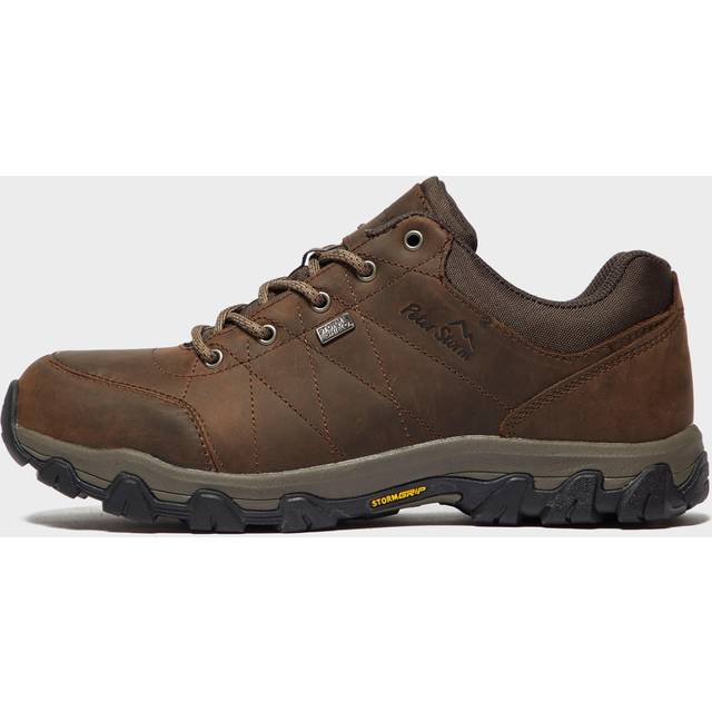 Men's Lindale Waterproof Walking Shoe, Brown - 10