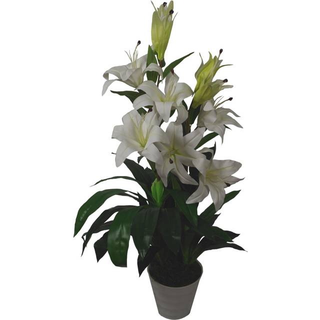 Floor Flowering Plant in Pot - White (90cm H X 20cm W X 20cm D)