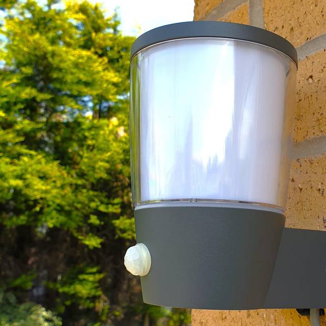 Canoby 6.4" H Outdoor Armed Sconce - Grey (16.3cm H X 13.4cm W X 10.8cm D)