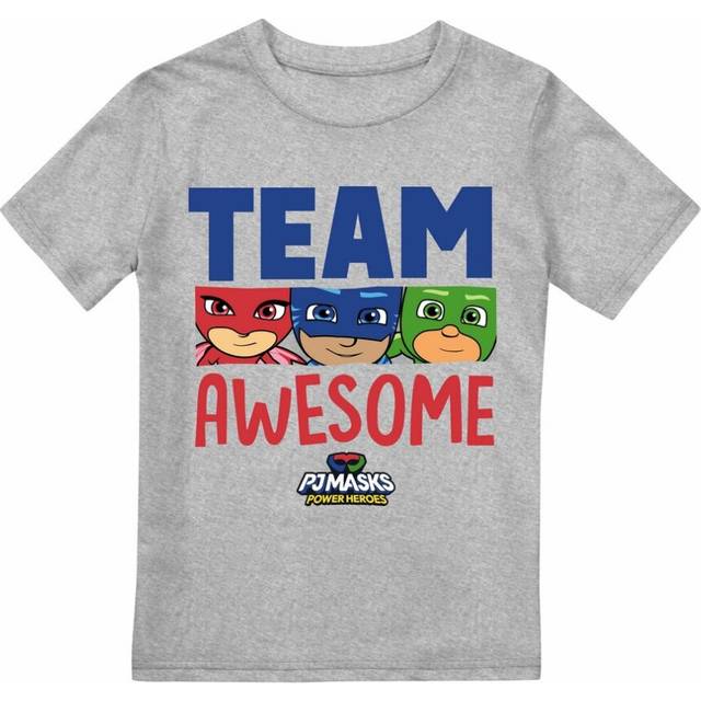 (3-4 Years, Sports Grey) PJ Masks Boys Team Awesome Heather T-Shirt