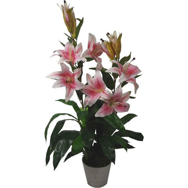 Floor Flowering Plant in Pot - Pink (90cm H X 20cm W X 20cm D)