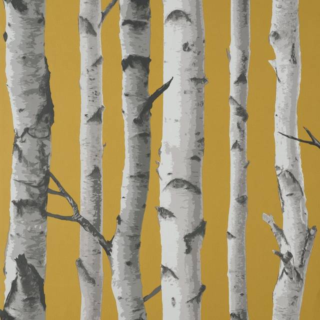 Fine Decor Birch Trees Mustard Wallpaper - Yellow - 5 x 52 x 0.1cm