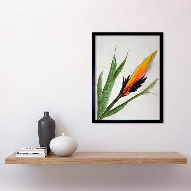 Wall Art Print Bird of Paradise Tropical Plant Flower and Leaves on White Art Framed - Black - W12 inch x H16 inch