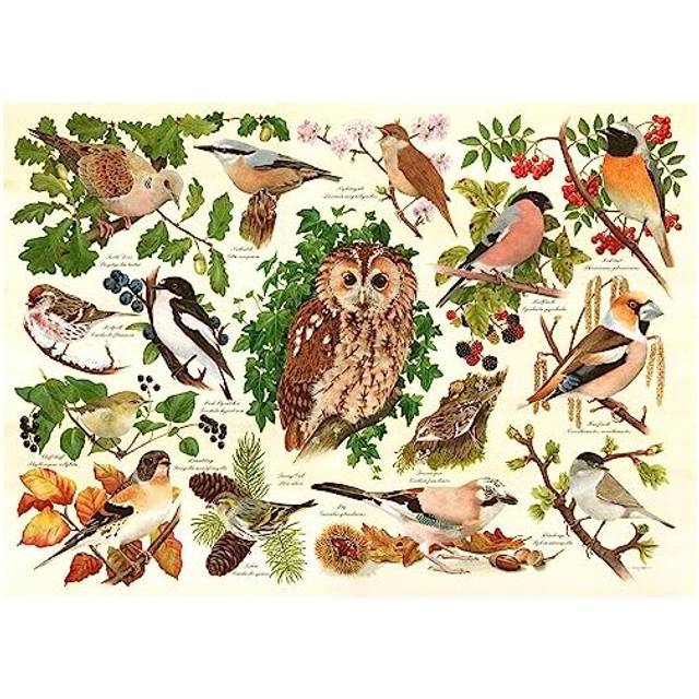 The House Of Puzzles, Woodland Birds, Big 500 Piece Jigsaw Puzzle, Multi