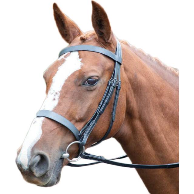 (Pony, Black) Avignon Hunter Leather Horse Cavesson Bridle