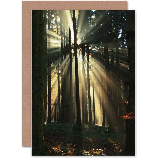Birthday Painting Sunbeam Forest Scene Blank Greeting Card With Envelope