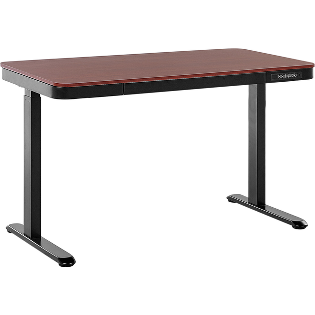 Electric Adjustable Standing Desk 120 x 60 cm with USB port Dark Wood and Black KENLY