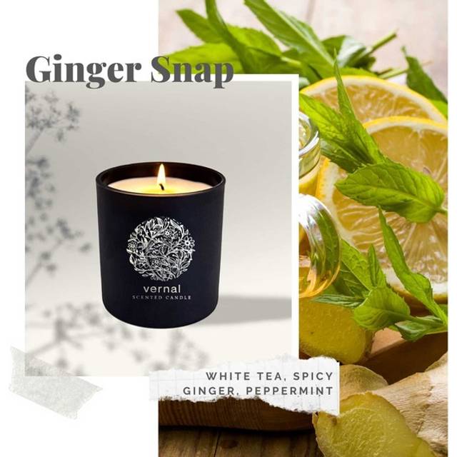 Vernal Ginger Snap Scented Candle - White Tea Ginger - Black