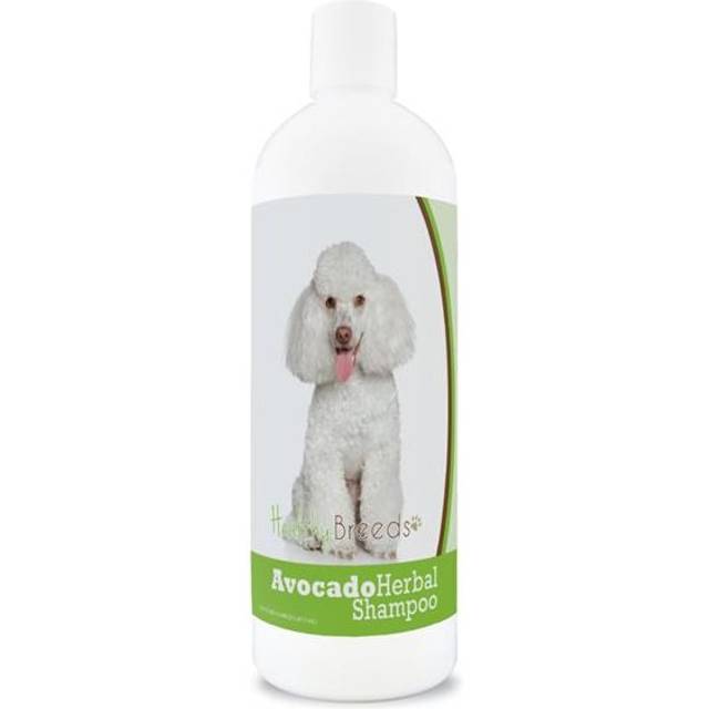 Healthy Breeds 840235156499 Poodle Avocado Herbal Dog Shampoo