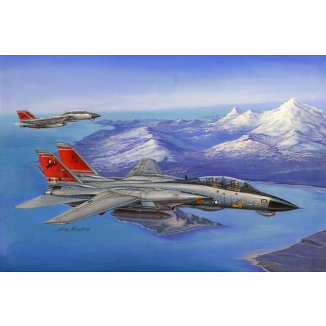 HBB80368 - Hobbyboss 1:48 - F-14D Super Tomcat