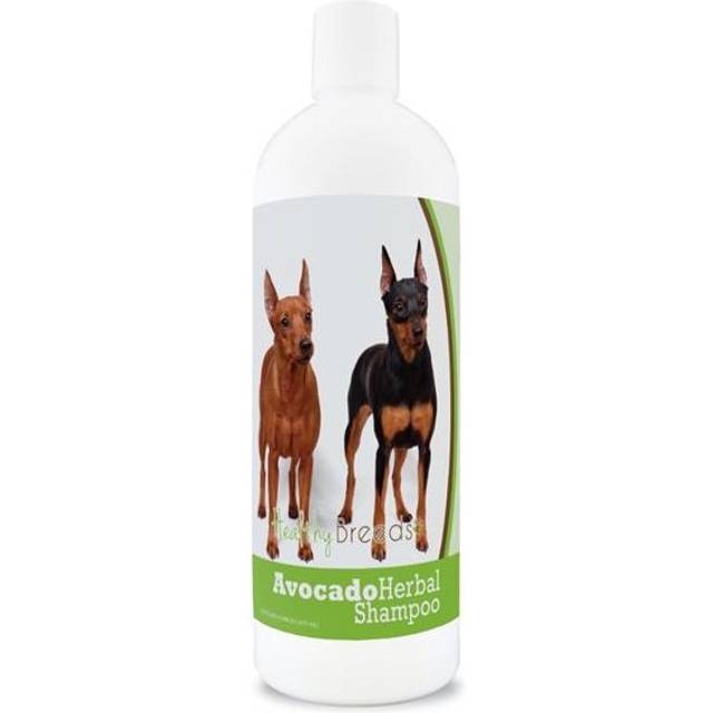 Healthy Breeds 840235156536 Miniature Pinscher Avocado Herbal Dog Shampoo