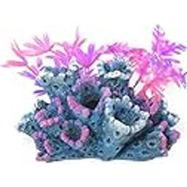 Blue Ribbon FANTASY REEF WITH PLANTS