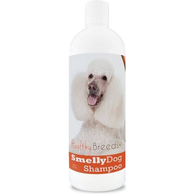 Healthy Breeds 840235160625 Poodle Smelly Dog Baking Soda Shampoo