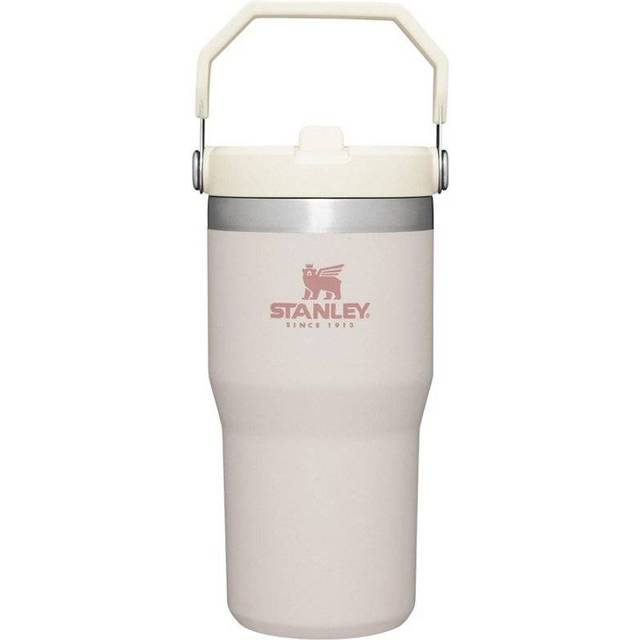 Stanley IceFlow Stainless Steel Tumbler with Straw  Vacuum Insulated Water Bottle for Home  Office or Car Reusable Cup Leak Res