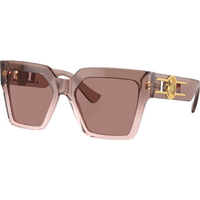 Versace Woman VE4458  543573 Sunglasses Acetate Brown Brown Butterfly Normal
