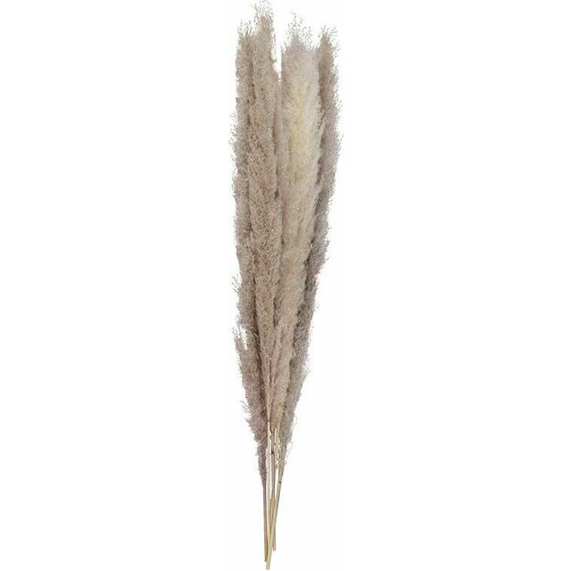 Ginger Ray Party Decorations Natural Pampas Grass 5pcs - gavehylden.dk