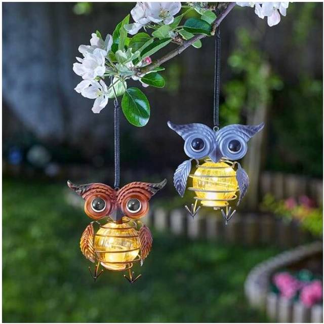 Owl Light (Mixed Display)