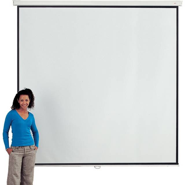 White Manual Projection Screen (240 cm H x 240 cm W)