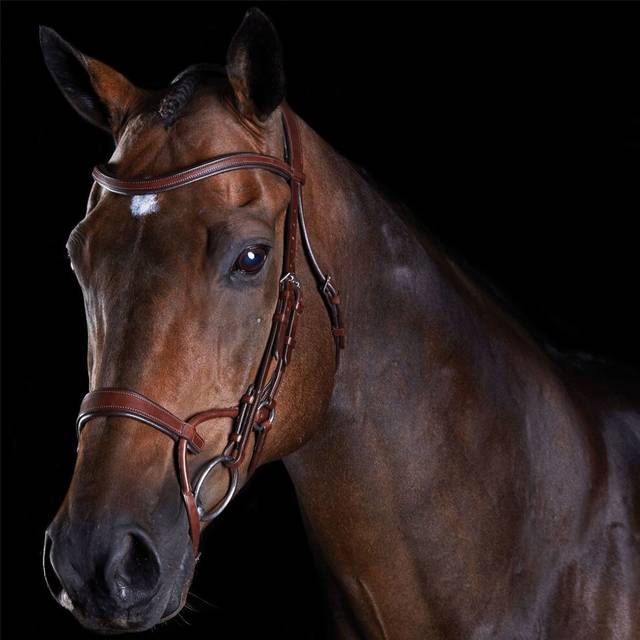 Velociti Gara Hunter Cavesson Noseband Black - UK 10 (S) · Coral Rose