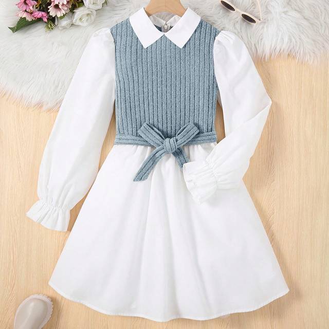 SHEIN Teen Girls&#39; Contrast Color Two-In-One Dress With Flare Sleeves