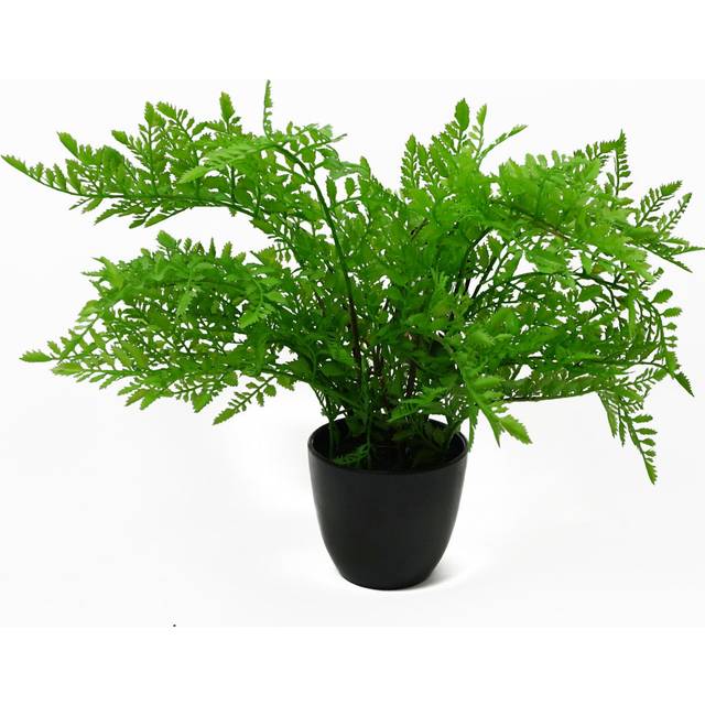 Leaf 30Cm Artificial Potted Southern Wood Fern Black Pot, Green