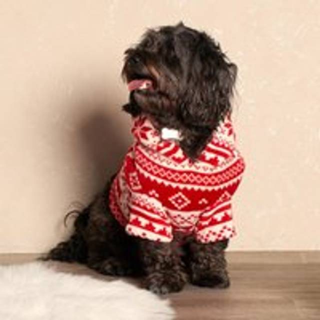 OHS Nordic Print Dog Hoodie Blanket, Red - Large