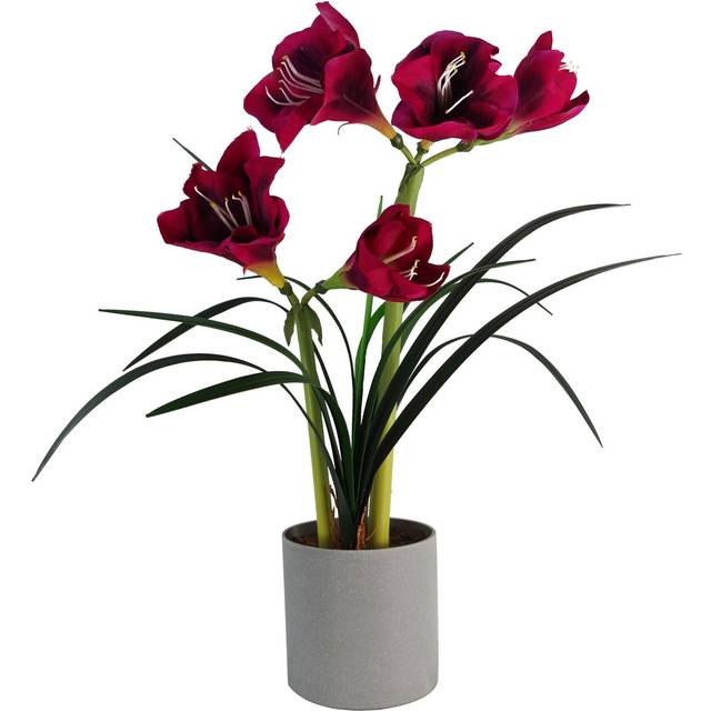 Leaf 60Cm Artificial Amarylis Pink, Pink