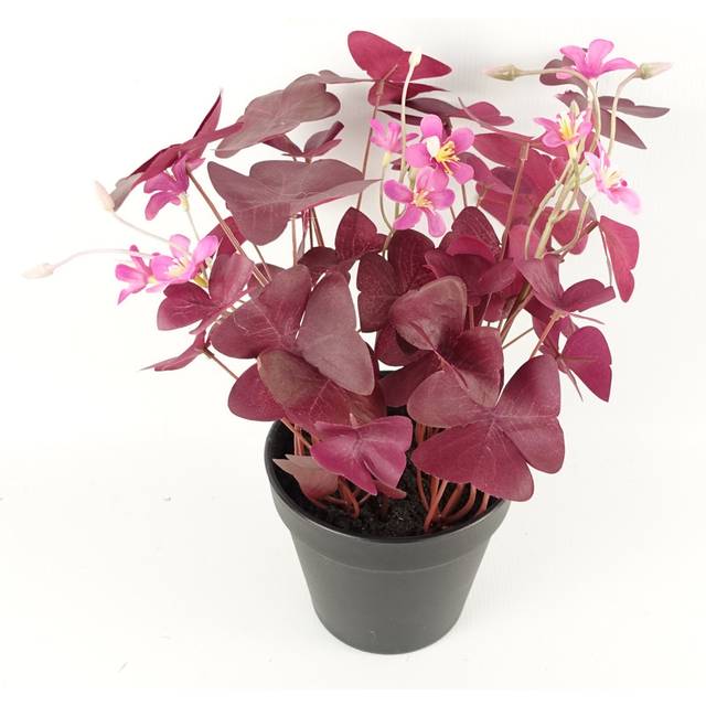 52cm Artificial Orchid Large - Purple / Gold