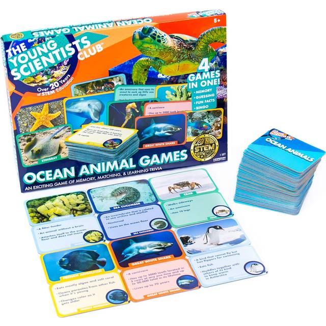 The Young Scientist Ocean Animal Card Games, 4 Card Games in 1, Matching, Bingo, Memory, Trivia, Hands-On Educational STEM Fun for Age 5 and Up, Kids