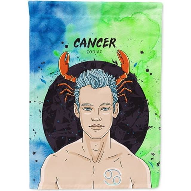Caroline's Treasures BB7320CHF Cancer Zodiac Sign Decorative House Flag  Size  Multicolor