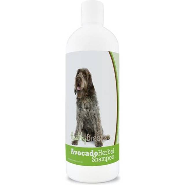 Healthy Breeds 840235156673 Wirehaired Pointing Griffon Avocado Herbal Dog Shampoo