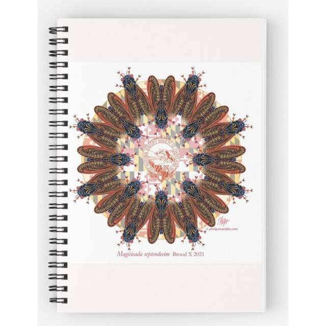Spiral Notebook Cicada Brood X - 2021 A5 120 Pages