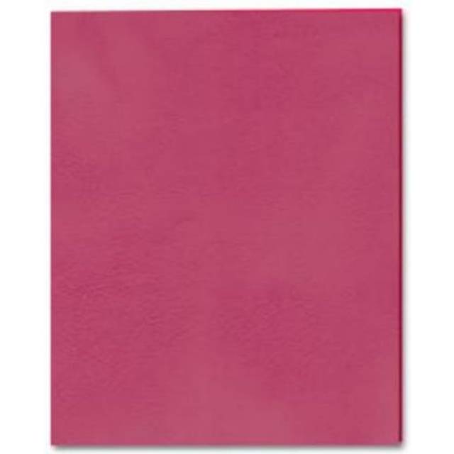 Embossed Pocket Folder - 25 Boxes Per Case - Case of 10