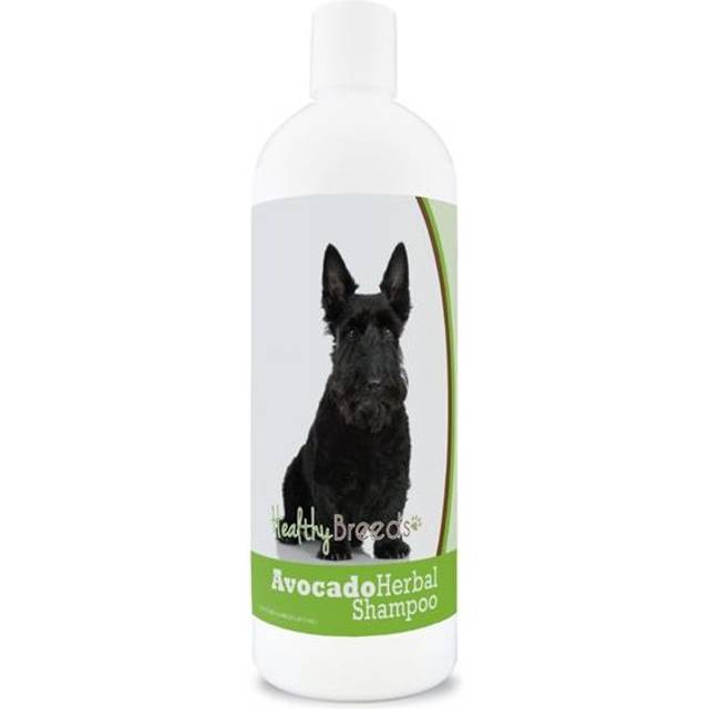 Healthy Breeds 840235157250 Scottish Terrier Avocado Herbal Dog Shampoo