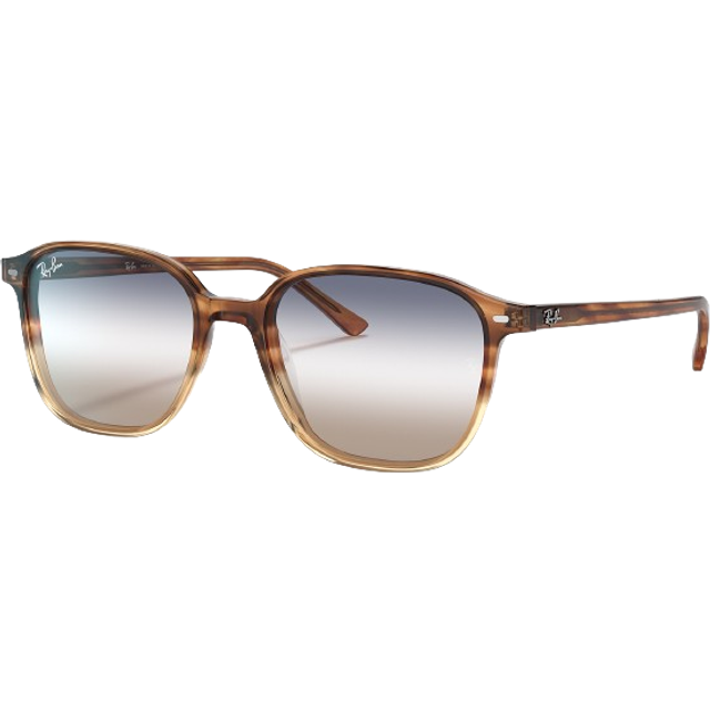 Ray-Ban Leonard RB 2193 1328GD small