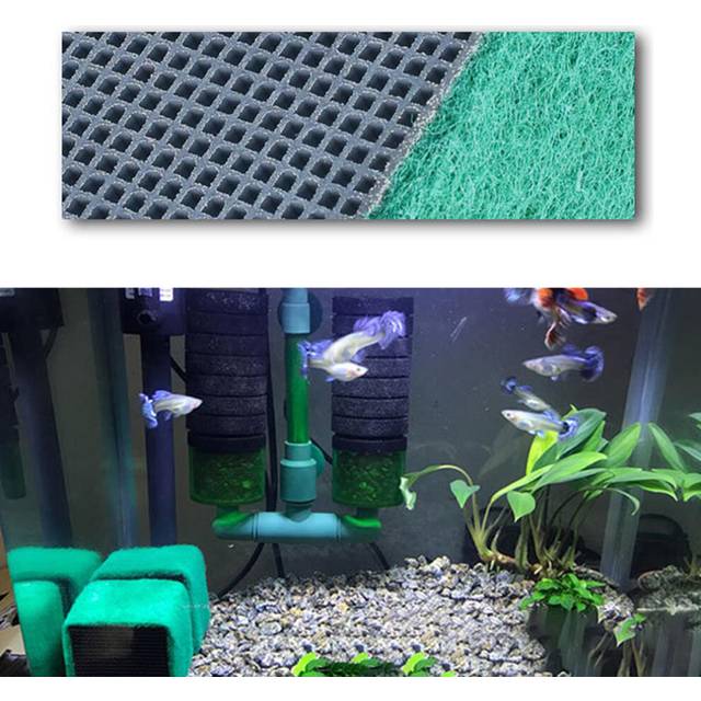 (5cm) Eco-Aquarium Water Purifiers Fish Tank Activated Carbon Filter Cubes