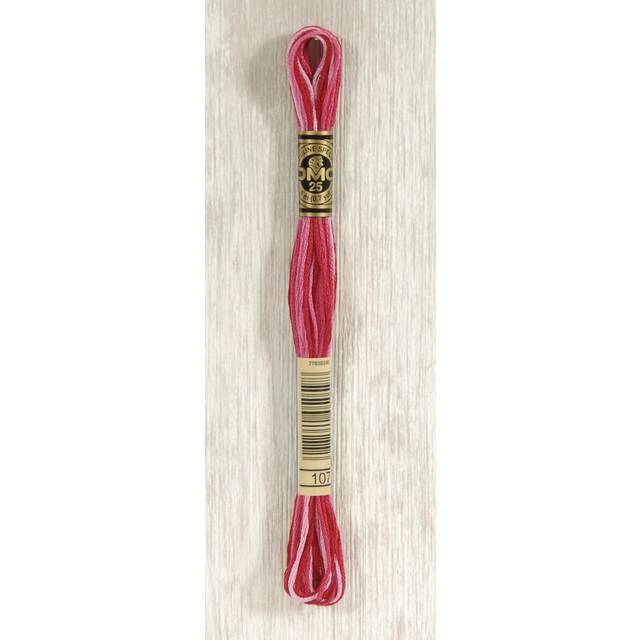 DMC Stranded Cotton Thread 107 Multi 8 Metres