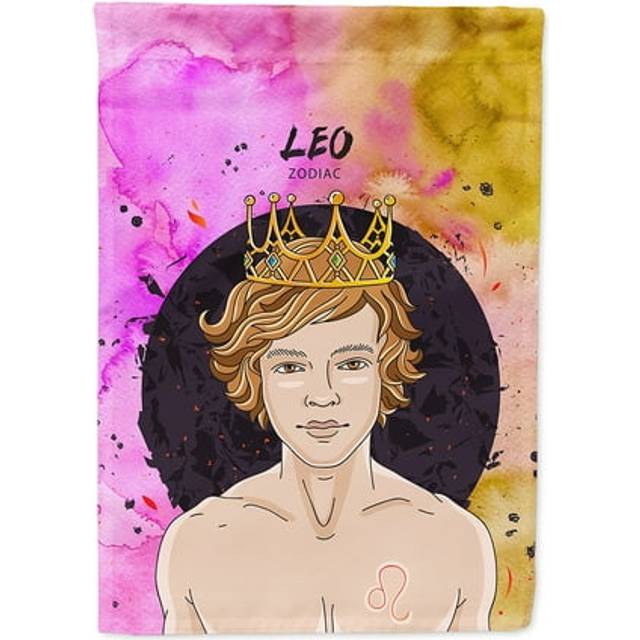 Caroline's Treasures BB7321CHF Leo Zodiac Sign Decorative House Flag  Size  Multicolor