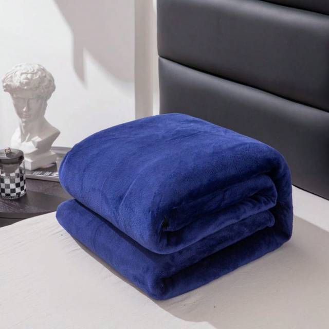 SHEIN Solid Color Flannel Fleece Blanket Throw