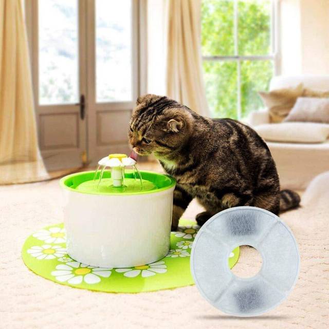 (6) 2/6Pcs Pet Cat Water Dispenser Fountain Activated Carbon Filter Replacement