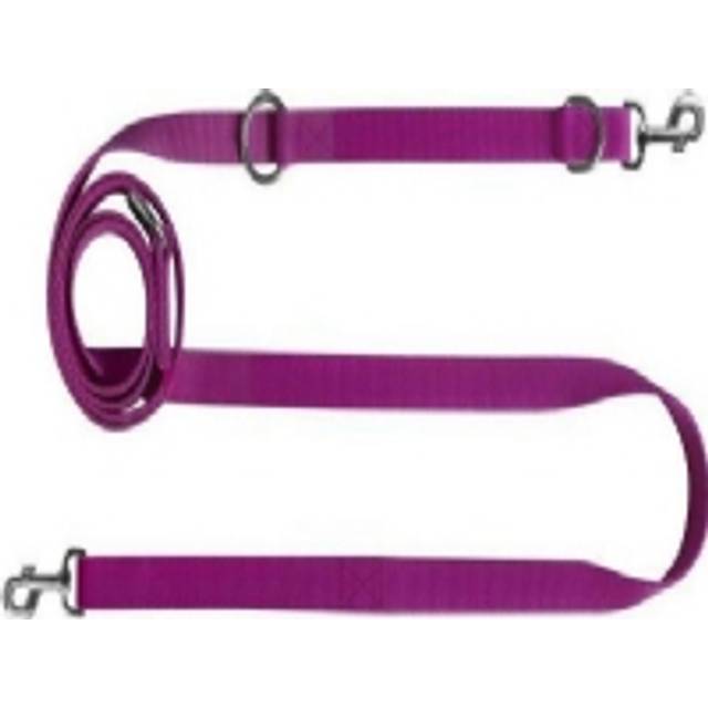 Chaba CH LEASH TASMA REG.