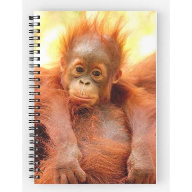 Spiral Notebook Bad hair day  A5 120 Pages