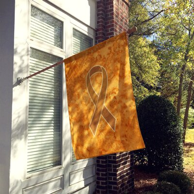 Caroline's Treasures AN1204CHF Orange Ribbon for Leukemia Awareness Flag Canvas  Large  Multicolor